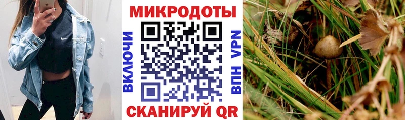 omg ссылки  Алзамай  Псилоцибиновые грибы ЛСД  наркотики 